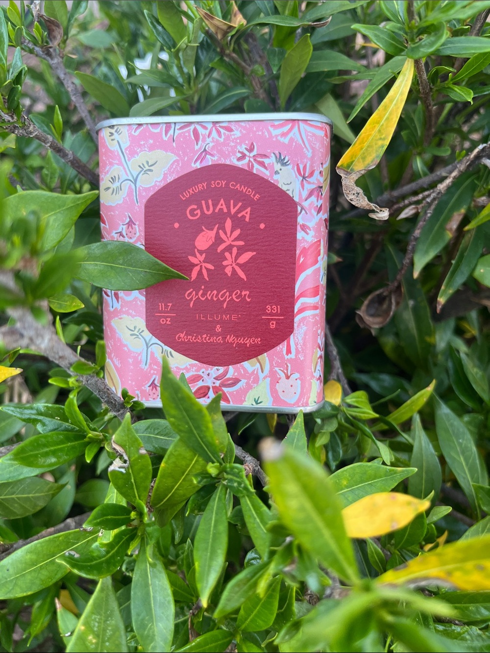 Guava Ginger Luxury Soy Candle - Pink